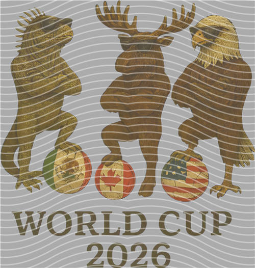 NBA and Team-QD 1320